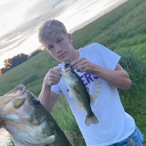 Meet your Posher, Gibson